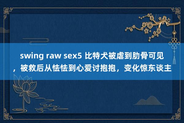 swing raw sex5 比特犬被虐到肋骨可见，被救后从怯怯到心爱讨抱抱，变化惊东谈主