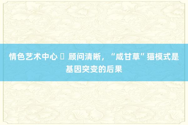 情色艺术中心 ​顾问清晰，“咸甘草”猫模式是基因突变的后果