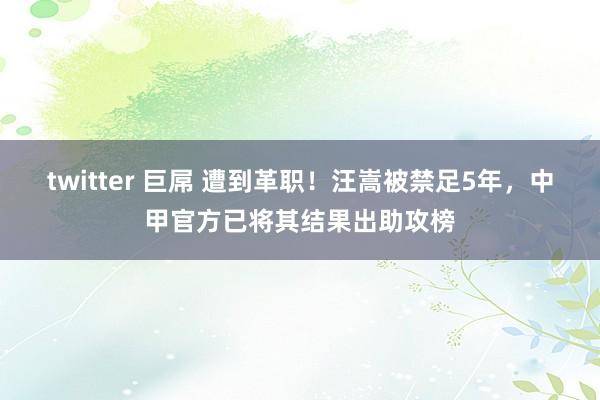 twitter 巨屌 遭到革职！汪嵩被禁足5年，中甲官方已将其结果出助攻榜