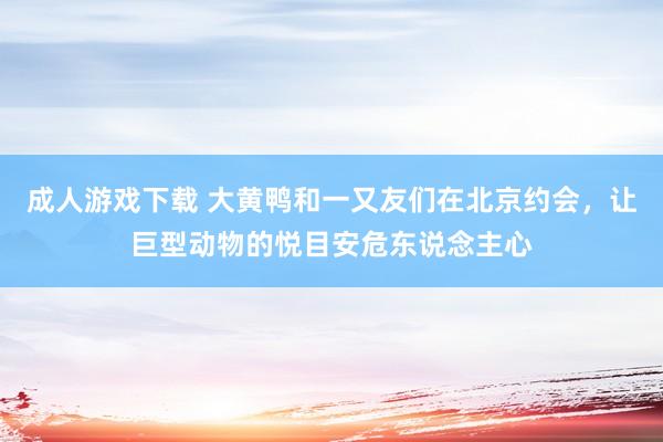 成人游戏下载 大黄鸭和一又友们在北京约会，让巨型动物的悦目安危东说念主心