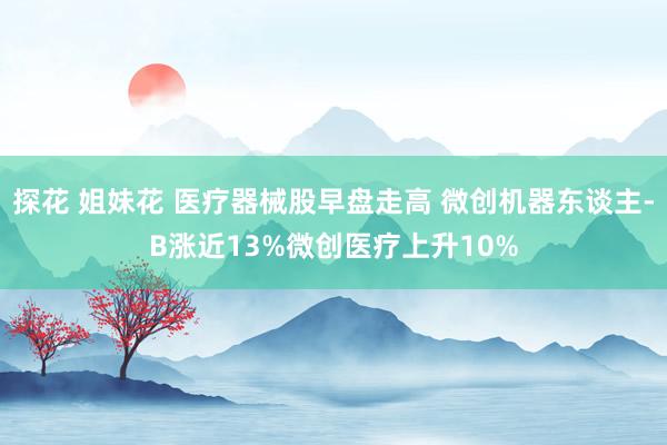 探花 姐妹花 医疗器械股早盘走高 微创机器东谈主-B涨近13%微创医疗上升10%