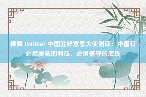 裸舞 twitter 中国驻好意思大使谢锋：中国有必须爱戴的利益、必须信守的底线