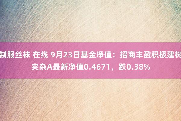 制服丝袜 在线 9月23日基金净值：招商丰盈积极建树夹杂A最新净值0.4671，跌0.38%