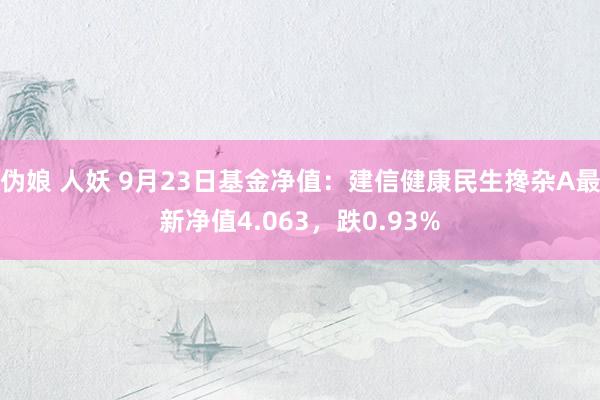 伪娘 人妖 9月23日基金净值：建信健康民生搀杂A最新净值4.063，跌0.93%