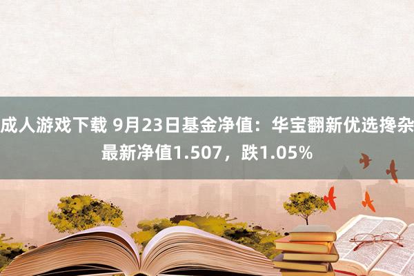 成人游戏下载 9月23日基金净值：华宝翻新优选搀杂最新净值1.507，跌1.05%