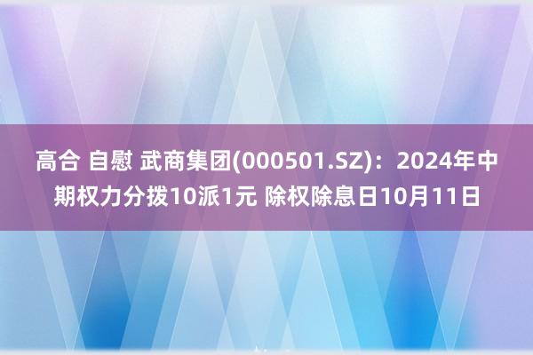 高合 自慰 武商集团(000501.SZ)：2024年中期权力分拨10派1元 除权除息日10月11日