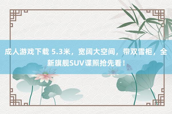 成人游戏下载 5.3米，宽阔大空间，带双雪柜，全新旗舰SUV谍照抢先看！