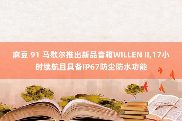 麻豆 91 马歇尔推出新品音箱WILLEN II，17小时续航且具备IP67防尘防水功能