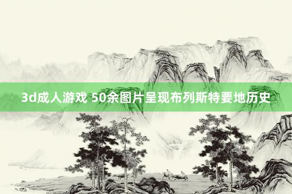 3d成人游戏 50余图片呈现布列斯特要地历史