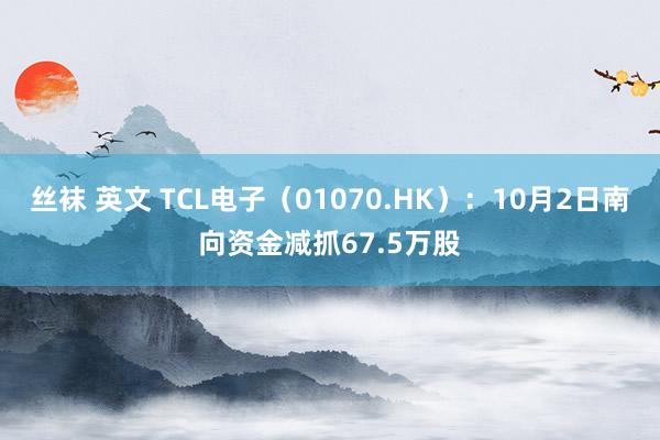 丝袜 英文 TCL电子（01070.HK）：10月2日南向资金减抓67.5万股