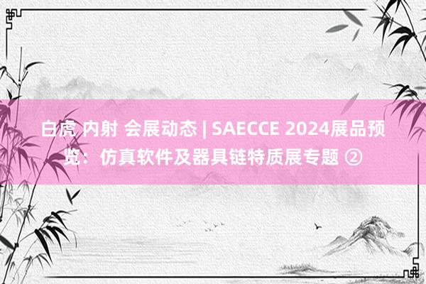 白虎 内射 会展动态 | SAECCE 2024展品预览：仿真软件及器具链特质展专题 ②