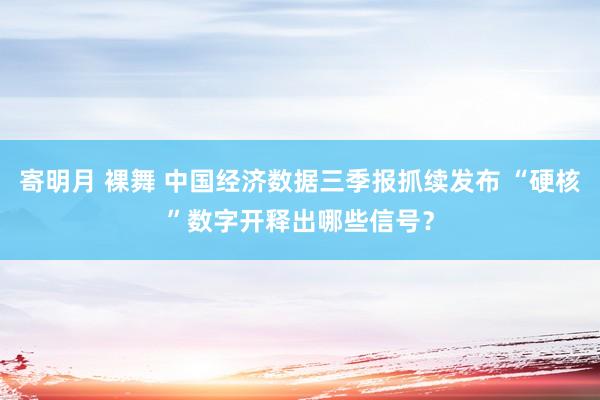 寄明月 裸舞 中国经济数据三季报抓续发布 “硬核”数字开释出哪些信号？