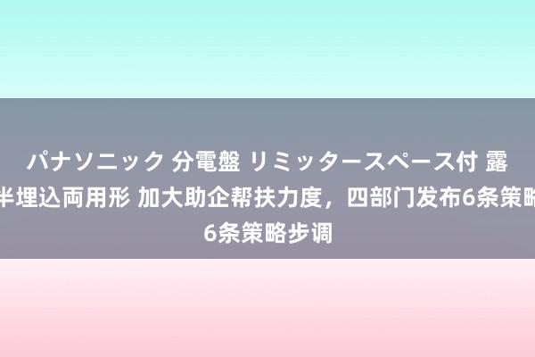 パナソニック 分電盤 リミッタースペース付 露出・半埋込両用形 加大助企帮扶力度，四部门发布6条策略步调