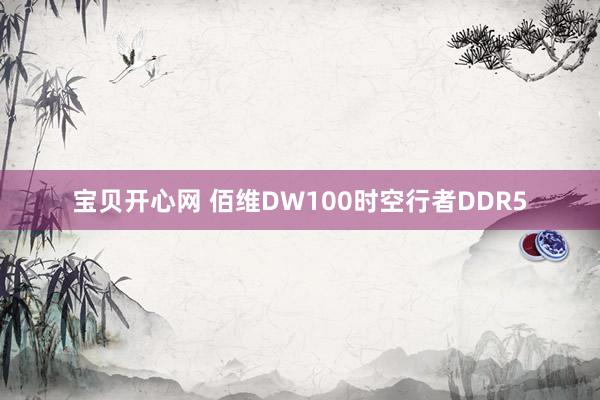 宝贝开心网 佰维DW100时空行者DDR5