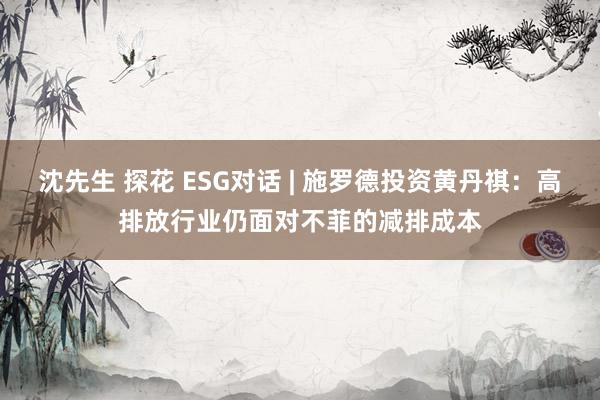 沈先生 探花 ESG对话 | 施罗德投资黄丹祺：高排放行业仍面对不菲的减排成本