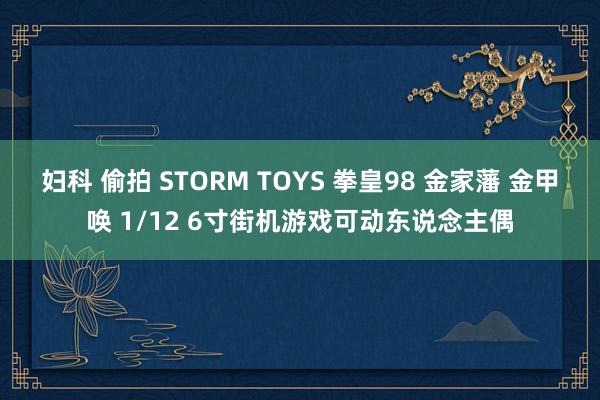 妇科 偷拍 STORM TOYS 拳皇98 金家藩 金甲唤 1/12 6寸街机游戏可动东说念主偶