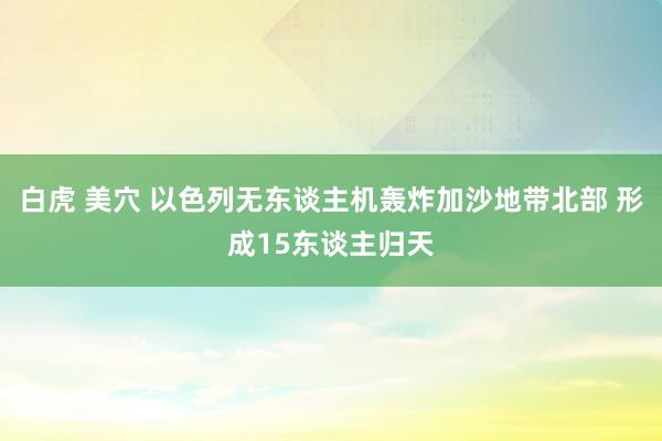 白虎 美穴 以色列无东谈主机轰炸加沙地带北部 形成15东谈主归天