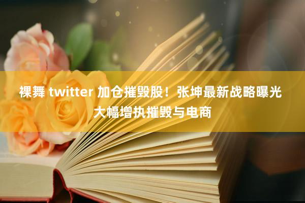 裸舞 twitter 加仓摧毁股！张坤最新战略曝光 大幅增执摧毁与电商