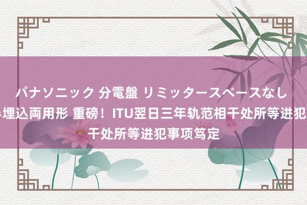 パナソニック 分電盤 リミッタースペースなし 露出・半埋込両用形 重磅！ITU翌日三年轨范相干处所等进犯事项笃定