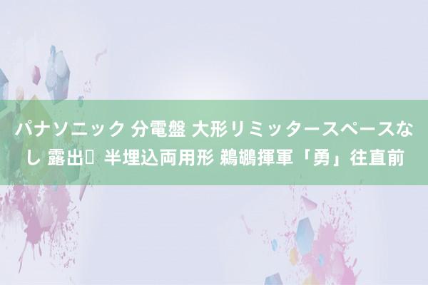 パナソニック 分電盤 大形リミッタースペースなし 露出・半埋込両用形 鵜鶘揮軍「勇」往直前