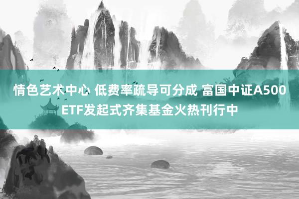 情色艺术中心 低费率疏导可分成 富国中证A500ETF发起式齐集基金火热刊行中