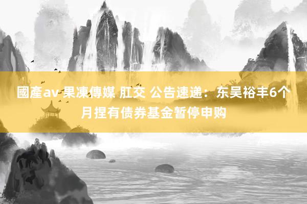 國產av 果凍傳媒 肛交 公告速递：东吴裕丰6个月捏有债券基金暂停申购