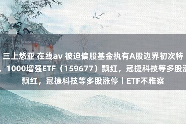 三上悠亚 在线av 被迫偏股基金执有A股边界初次特出主动偏股基金，1000增强ETF（159677）飘红，冠捷科技等多股涨停丨ETF不雅察