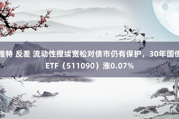 推特 反差 流动性捏续宽松对债市仍有保护，30年国债ETF（511090）涨0.07%