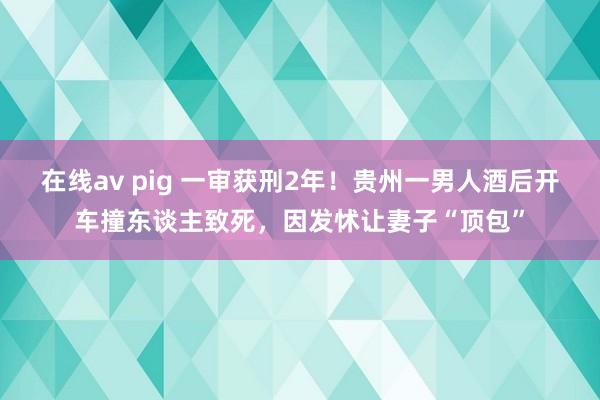 在线av pig 一审获刑2年！贵州一男人酒后开车撞东谈主致死，因发怵让妻子“顶包”