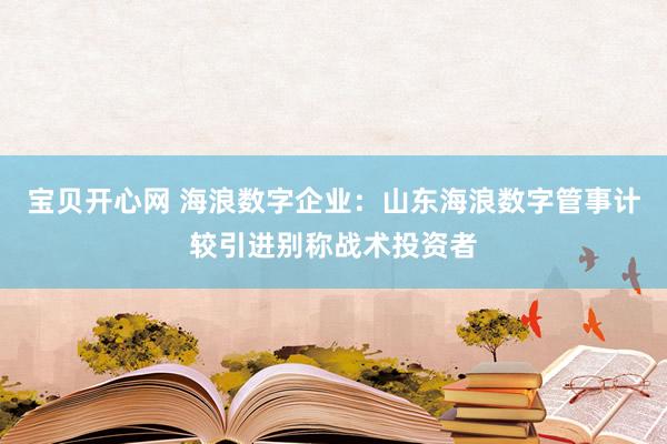 宝贝开心网 海浪数字企业：山东海浪数字管事计较引进别称战术投资者