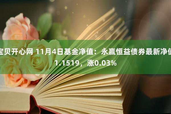 宝贝开心网 11月4日基金净值：永赢恒益债券最新净值1.1519，涨0.03%