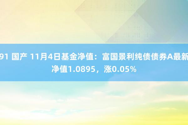 91 国产 11月4日基金净值：富国景利纯债债券A最新净值1.0895，涨0.05%