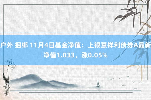 户外 捆绑 11月4日基金净值：上银慧祥利债券A最新净值1.033，涨0.05%