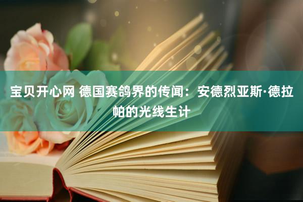 宝贝开心网 德国赛鸽界的传闻：安德烈亚斯·德拉帕的光线生计