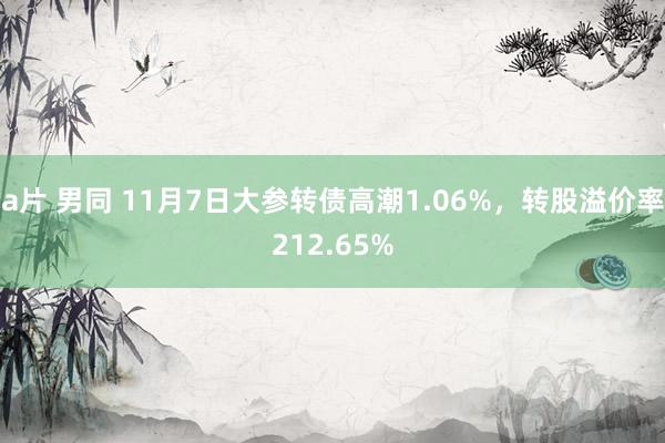 a片 男同 11月7日大参转债高潮1.06%，转股溢价率212.65%