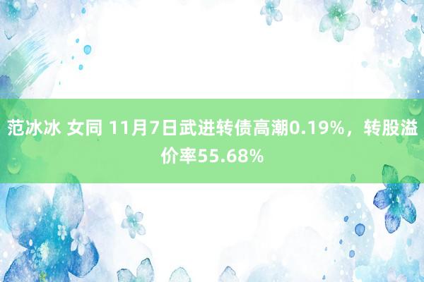 范冰冰 女同 11月7日武进转债高潮0.19%，转股溢价率55.68%