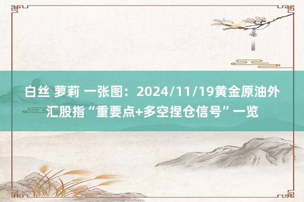 白丝 萝莉 一张图：2024/11/19黄金原油外汇股指“重要点+多空捏仓信号”一览