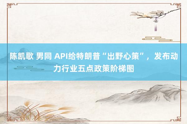 陈凯歌 男同 API给特朗普“出野心策”，发布动力行业五点政策阶梯图