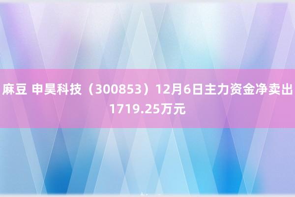 麻豆 申昊科技（300853）12月6日主力资金净卖出1719.25万元