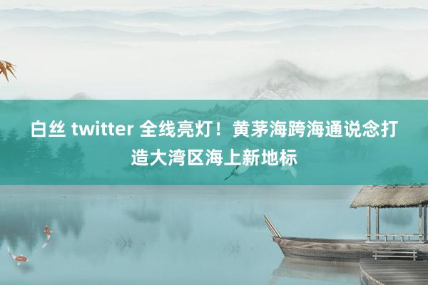 白丝 twitter 全线亮灯！黄茅海跨海通说念打造大湾区海上新地标