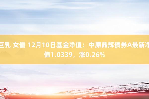 巨乳 女優 12月10日基金净值：中原鼎辉债券A最新净值1.0339，涨0.26%