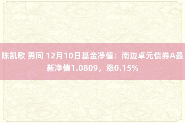 陈凯歌 男同 12月10日基金净值：南边卓元债券A最新净值1.0809，涨0.15%