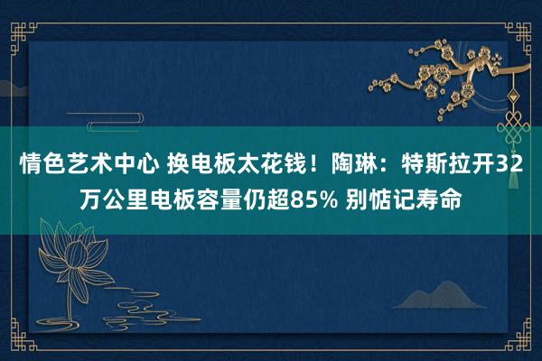 情色艺术中心 换电板太花钱！陶琳：特斯拉开32万公里电板容量仍超85% 别惦记寿命