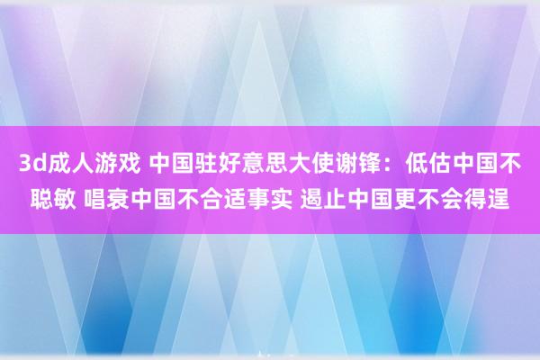 3d成人游戏 中国驻好意思大使谢锋：低估中国不聪敏 唱衰中国不合适事实 遏止中国更不会得逞