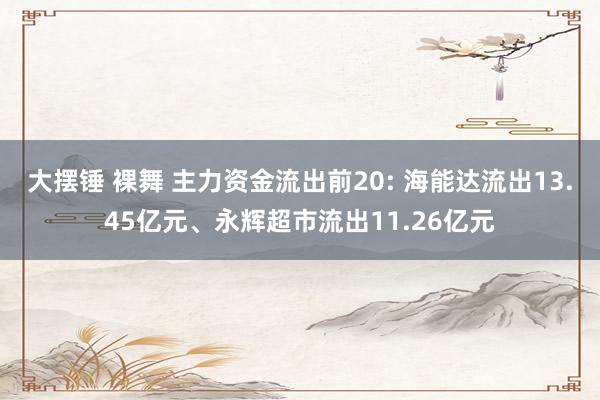 大摆锤 裸舞 主力资金流出前20: 海能达流出13.45亿元、永辉超市流出11.26亿元