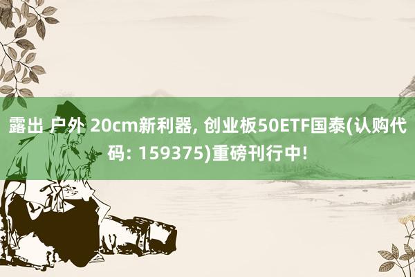 露出 户外 20cm新利器， 创业板50ETF国泰(认购代码: 159375)重磅刊行中!