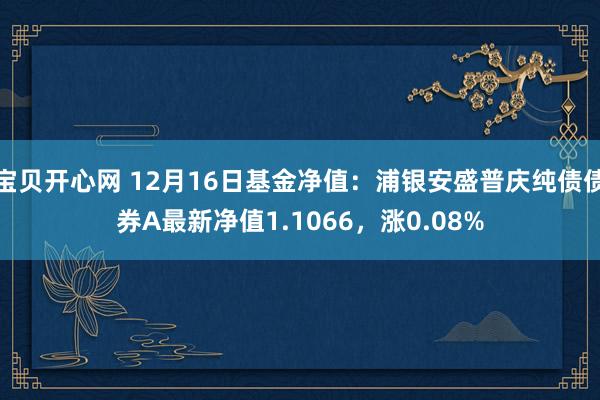 宝贝开心网 12月16日基金净值：浦银安盛普庆纯债债券A最新净值1.1066，涨0.08%