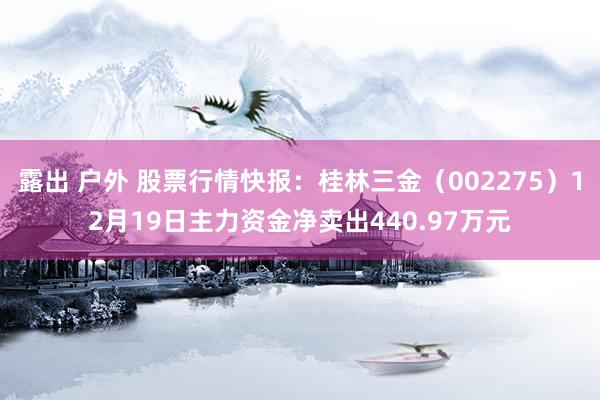 露出 户外 股票行情快报：桂林三金（002275）12月19日主力资金净卖出440.97万元