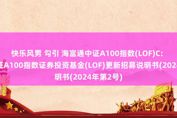 快乐风男 勾引 海富通中证A100指数(LOF)C: 海富通中证A100指数证券投资基金(LOF)更新招募说明书(2024年第2号)