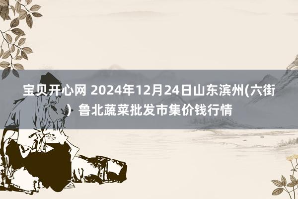 宝贝开心网 2024年12月24日山东滨州(六街）鲁北蔬菜批发市集价钱行情